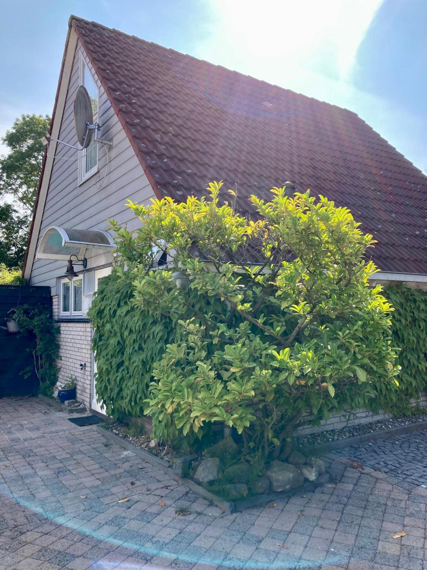 Gudrun 5 Pers Equipped House With Sauna. Dogs Are Welcome! Anjum Bagian luar foto